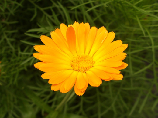 431593 (a): :1600x1200